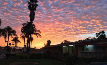 The Stretching Therapy