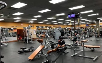 Bailey's Health & Fitness