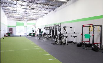 Hybrid Impact Fitness