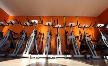 Treva Fitness Laguna