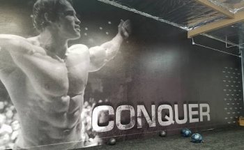 Phenomenal Fitness Inc