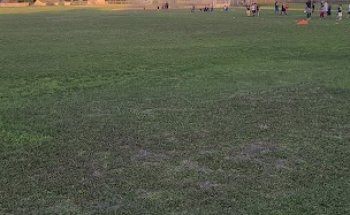 Lake Brantley South Gym