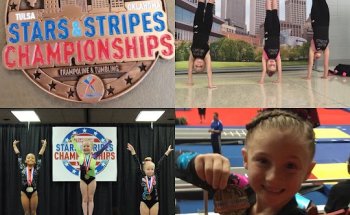 Elite World Gymnastics