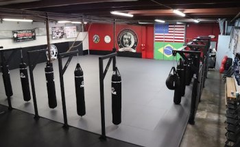 Springfield Fight Club