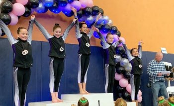 Libertyville Gymnastics Academy