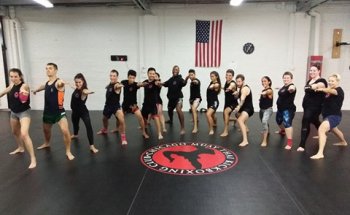 Chicago Muay Thai Kickboxing Club