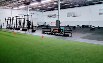 Premier Fitness & Performance