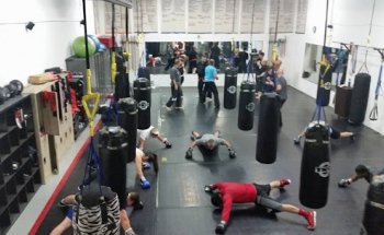 Downers Grove Boxing & Martial Arts, LLC.