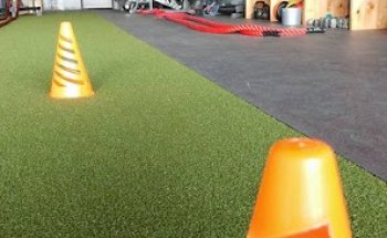 Peak Conditioning and Fitness