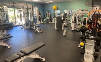 Daring Gray Los Gatos