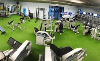 Wildcat Fitness & Fun