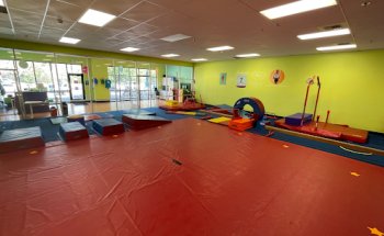 The Little Gym of Maple Valley