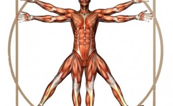 Elev8 Strength & Conditioning