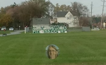 Fitness court
