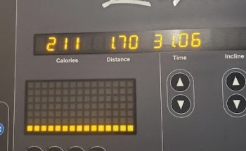 The Fitness Professionals