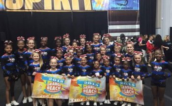 Mrs. Lisa's Gym , Cheer , & All Stars