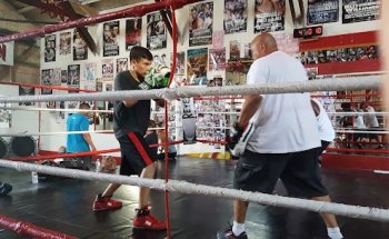 BAD TO THE BONZ BOXING GYM