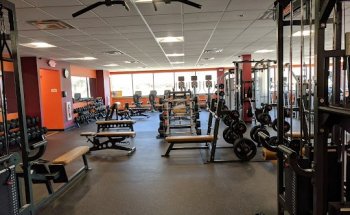 Evolutionary Fitness