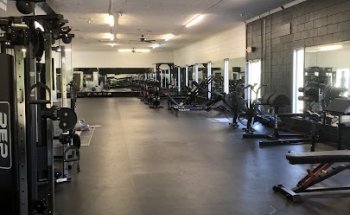 Bull Elephant Strength and Conditioning