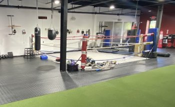 Rock Steady Boxing Westchester