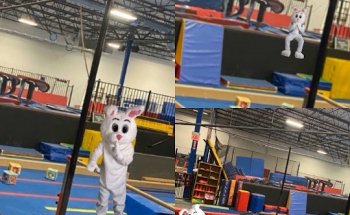 Naperville Gymnastics, Tumbling & Cheer