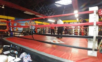 Elite HE Boxing Boxeo Gym