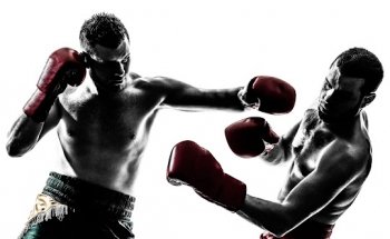 The Sugar Factory Inc