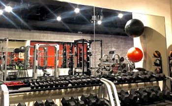 Apex Personal Fitness