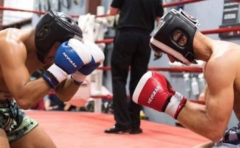 School of Combat Arts