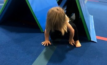 Tidewater Gymnastics Academy