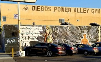 Diego's Power Alley Gym