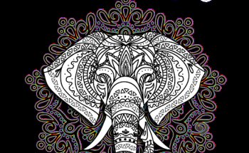 Mandala Yoga @ Oyhut Bay