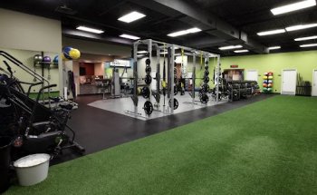 the Bodysmith Fitness