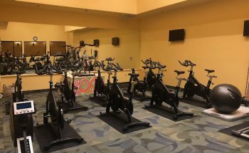 Blue Llama Yoga Fitness