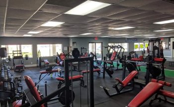 Monster Mouse Fitness