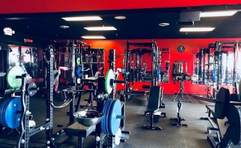 The Body Shop Personal Training