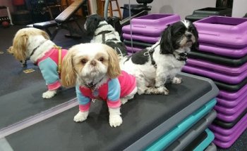 Personal Best Exercise studio