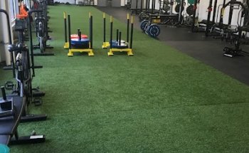 First Line Performance