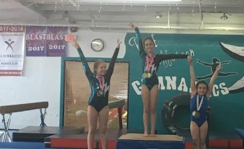 Port Jefferson Gymnastics