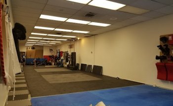 Mantis Martial Arts LLC