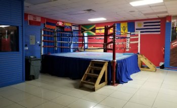 International Boxing & Fitness