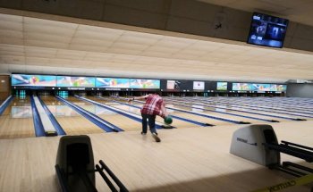 Tom E Tigers Sports World