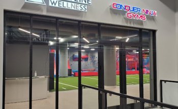 Conquer Ninja Gyms - St.Paul