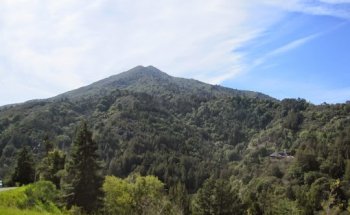 Marin Personal Trainer