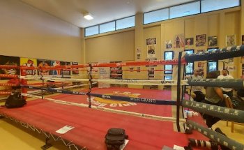 TKO Youth Boxing Club