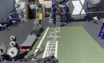 Bose Downey X=Change(BXD)