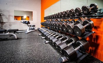 Total Body Health Club