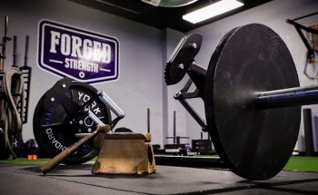 Forged Strength