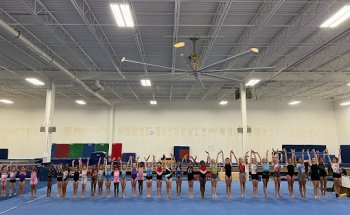 The Elite Gymnastics Academy