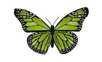 My Good Life Fitness